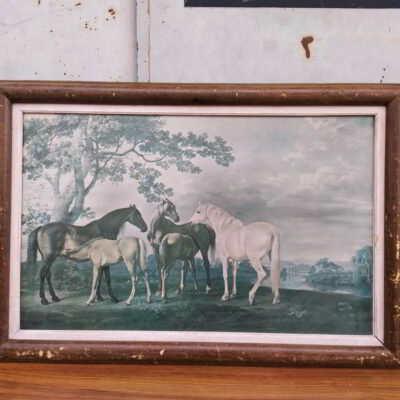 Παλαιά εκτύπωση με άλογα 281201