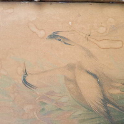 Ζωγραφική με πτηνά 180112