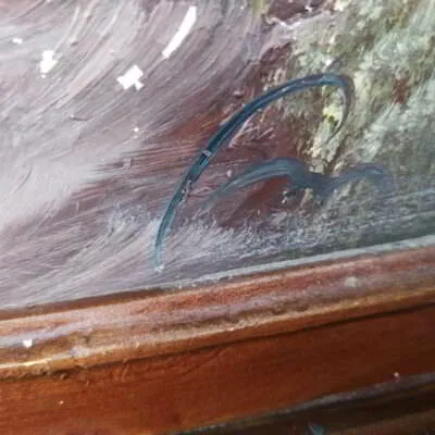 Πίνακας ζωγραφικής με τοπίο 160206